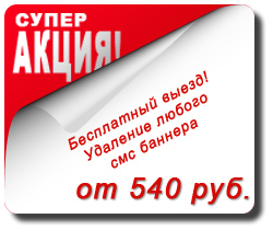 Стоимость удаления баннера от 540 рублей в зависимости от модификации
